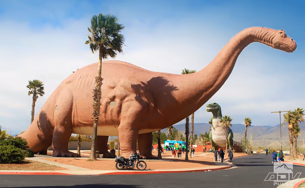 Desert Pulse Park